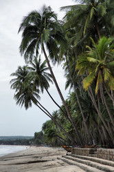 Similar image 1584723