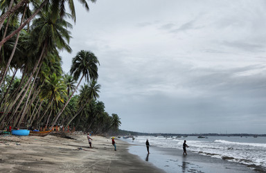 Similar image 1584725