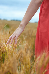 Similar image 1584782