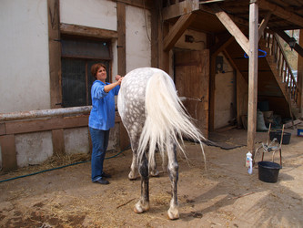 Similar image 1584785