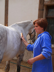 Similar image 1584786