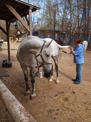 Similar image 1584788