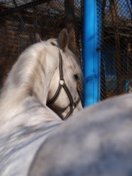 Similar image 1584796