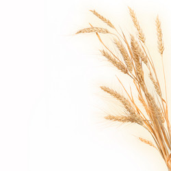 Similar image 1584801