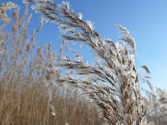 Similar image 1584830