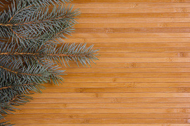 Similar image 1584850