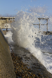 Similar image 1584864