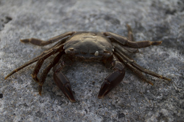 Similar image 1584872