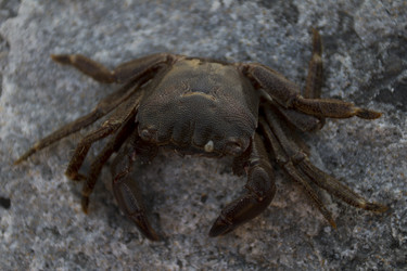 Similar image 1584873