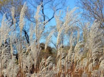 Similar image 1584897