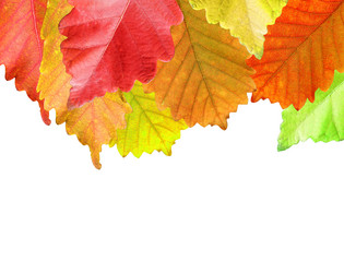 Similar image 1584901