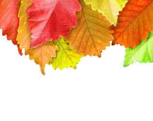 Similar image 1584917