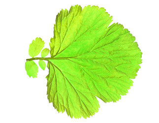 Similar image 1584918