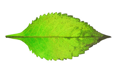 Similar image 1584920