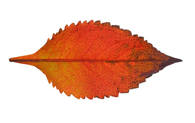 Similar image 1584922