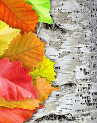 Similar image 1584928