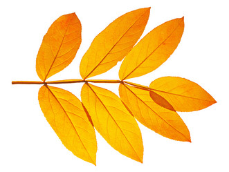 Similar image 1584930