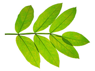 Similar image 1584931