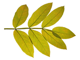 Similar image 1584933