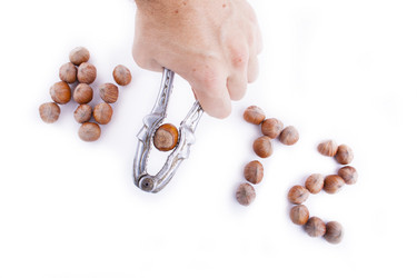 Similar image 1584963