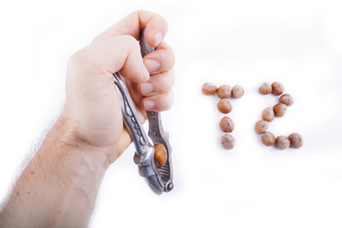 Similar image 1584965