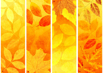 Similar image 1584997