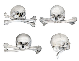 Similar image 1585024