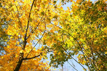 Similar image 1585043