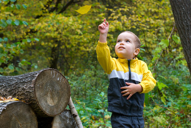 Similar image 1585151