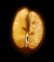 Similar image 1585152