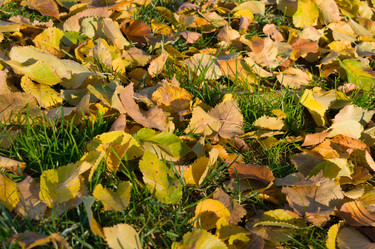 Similar image 1585163