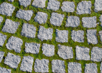 Similar image 1585178