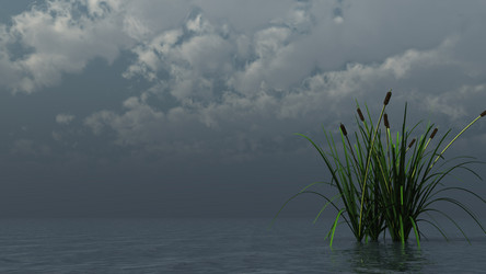 Similar image 1585286