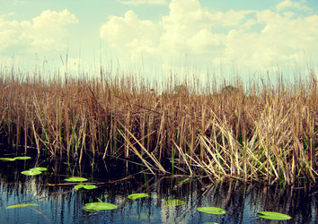 Similar image 1585464