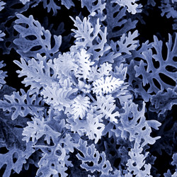 Similar image 1585467