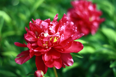 Similar image 1585497