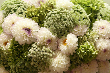 Similar image 1585699