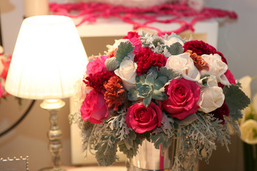 Similar image 1585700