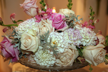 Similar image 1585752