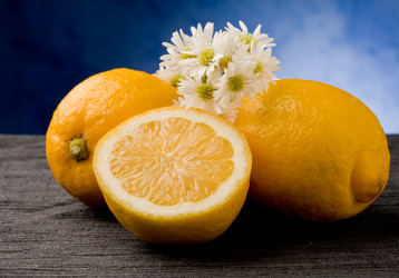 Similar image 1585848