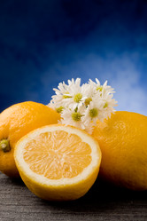 Similar image 1585849