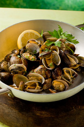 Similar image 1586158