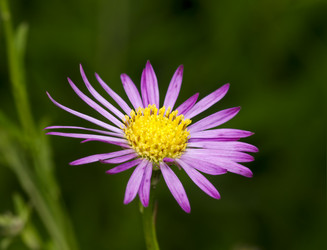 Similar image 1586178