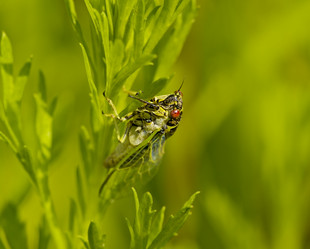 Similar image 1586180