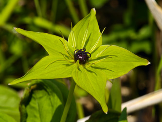 Similar image 1586182