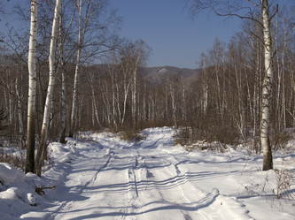 Similar image 1586183