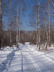 Similar image 1586184