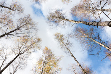 Similar image 1586193