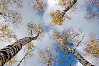 Similar image 1586194