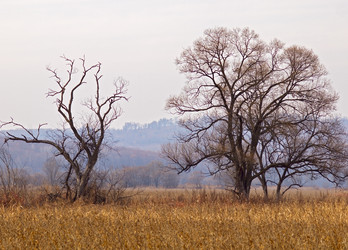 Similar image 1586197